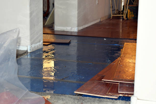 Professional Basement Flood Cleanup technician working in Wales, MA